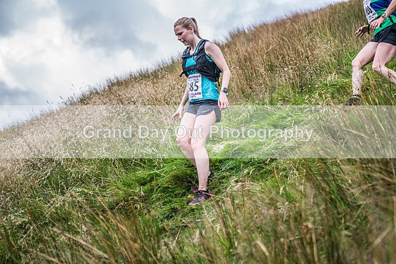Steel Fell-637 - Steel Fell Race Wednesday 7th August 2024