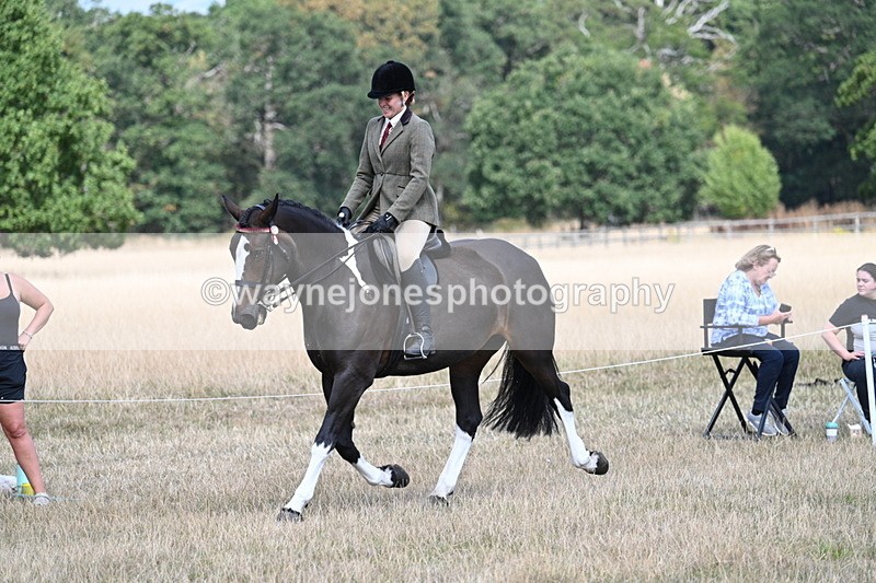 WJ7_6070 - Class 13 Ridden Veterans