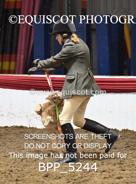 BPP_5244 - CLASS 5 HORSE AND HOUND