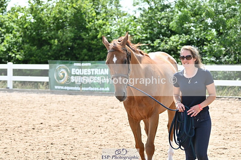 240717A-150022-02424 - Trot Up 3pm to 4pm