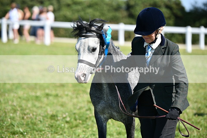 DSC_6502 - Class 53: NPS M&M 4 years and over Small Breeds