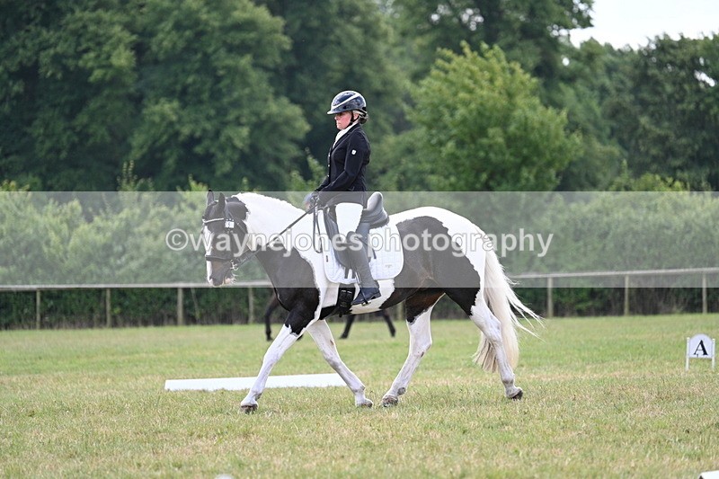 WJ7_5317 - Time 11:22 to 11:51