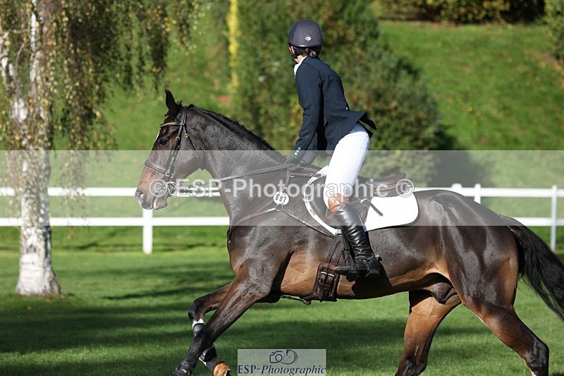 231022-112454-25145 - 687-VLOVE.D.OR.LY-Hani.Milstein-TrotUp+SJ