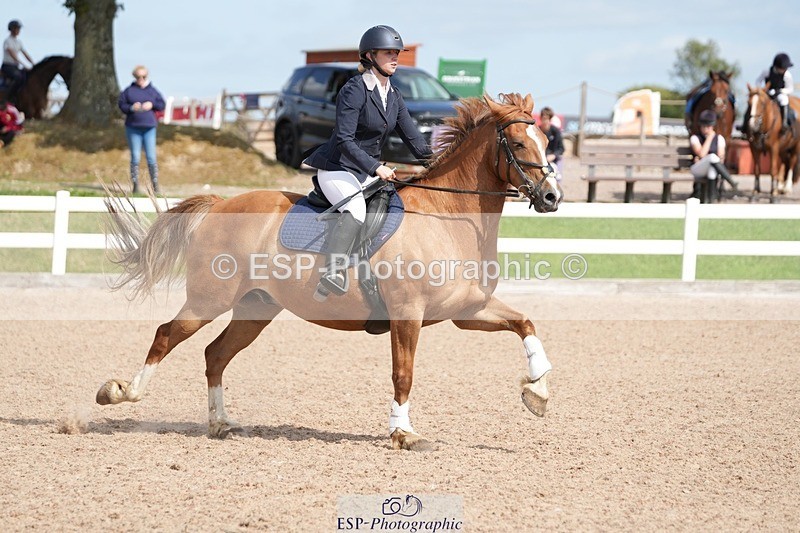 250805-160710-00225 - 70cm