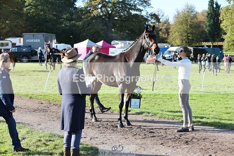 241027-095629-15593 - 553-Hanna.Bertorelli-BWTH.CLASSIC.CUT