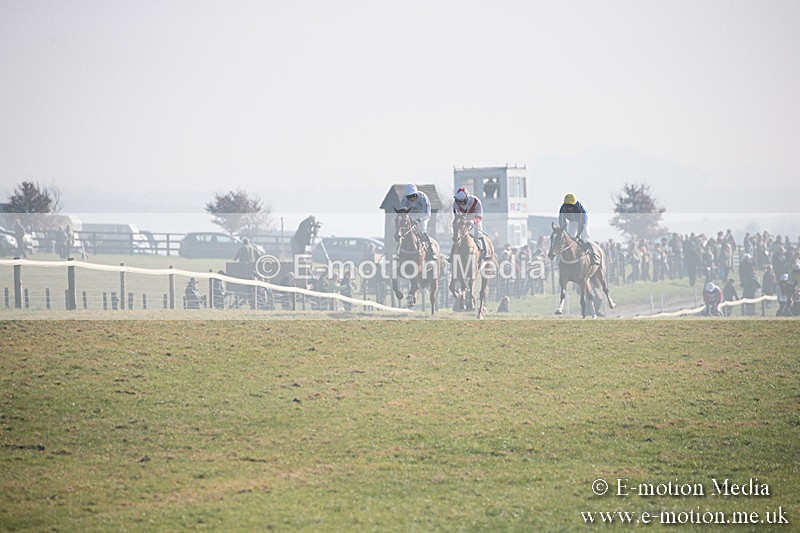 PtP 230219 244 - Vine & Craven Point-To-Point - Barbury 23/02/19