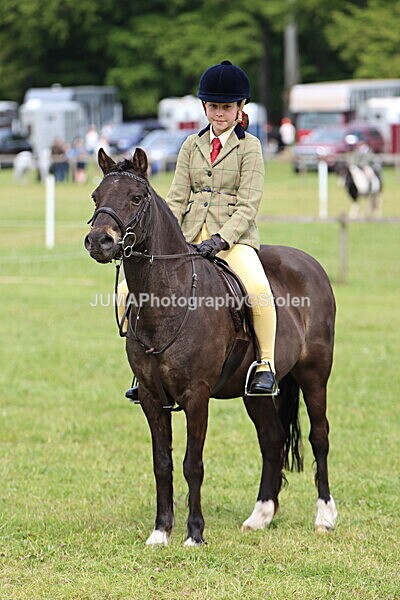IMG_2613 - Working Hunter