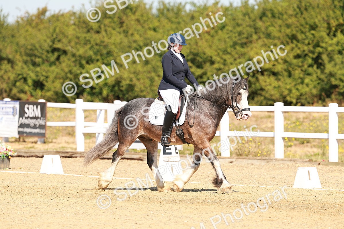 SBM_017793 - Class 9 - N5 Bronze 10.33.11.36