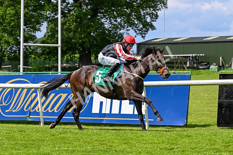050626-Race 1-Eagle Bay-2583 - Race 1 13.40pm Hartshead Dos Champions Restricted Maiden Stakes (Div I)