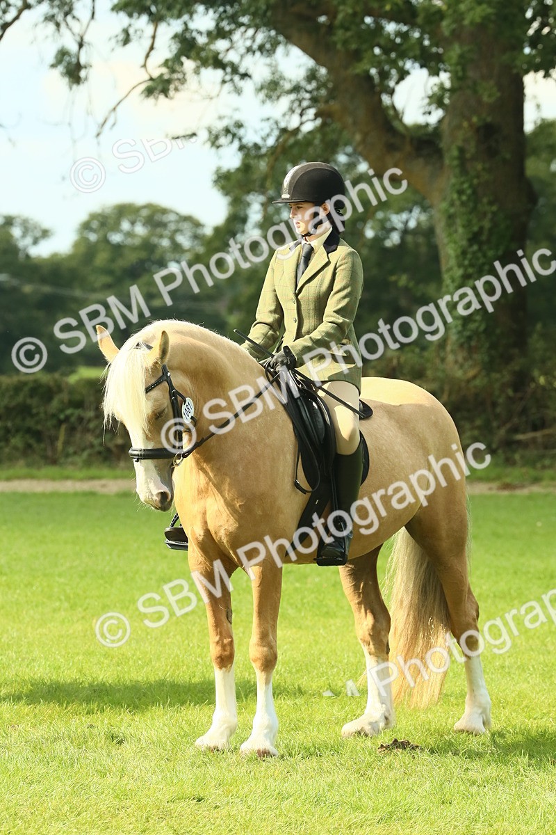 SBM_62602 - S63 - Other Coloured Horse Ridden