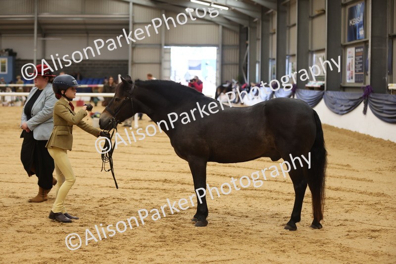 20260913-0120 - Class 121 - Young Handler 5-16