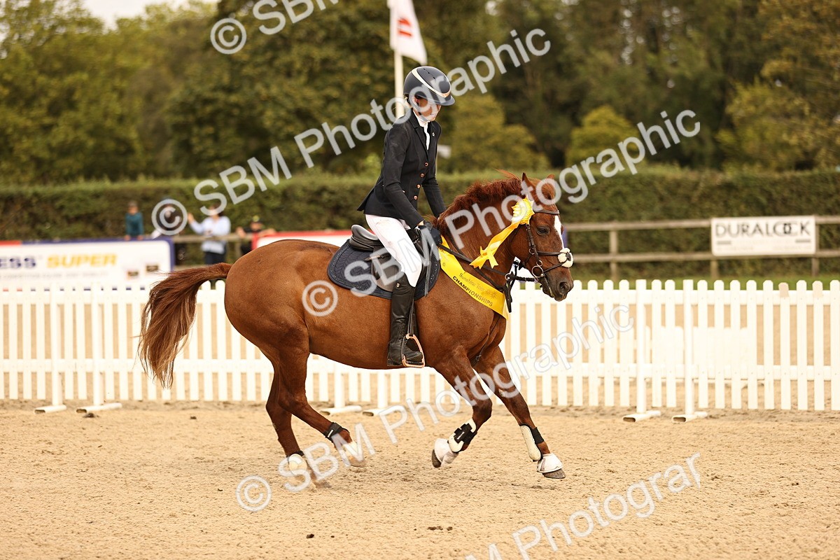 SBM_70864 - J13 - Junior Pony 60cm Championship