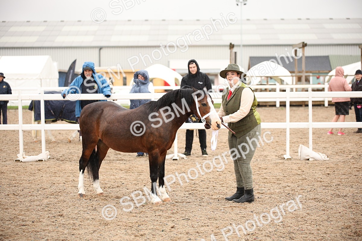 SBM_20256 - Class 704 - IH Rescue