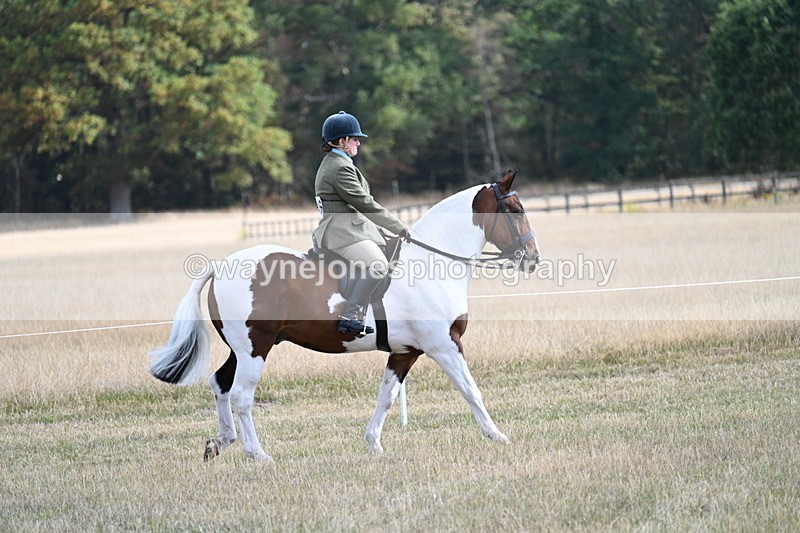 WJ7_2648 - Class 8 Ridden Tack & Turnout