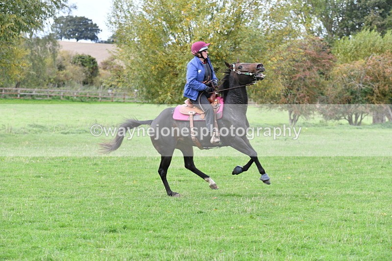 WJ5_0149 - Time 13:25 to 13:58