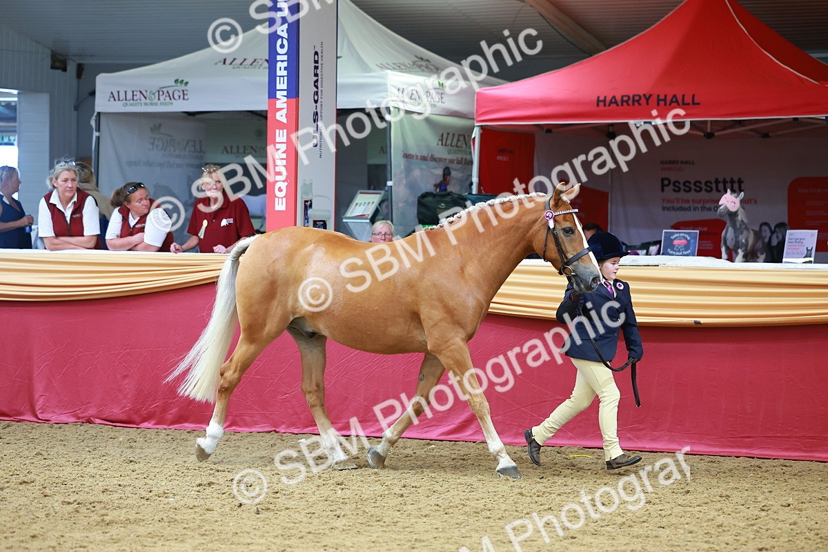 SBM_04211 - Class 9R - IH Pre-Vet