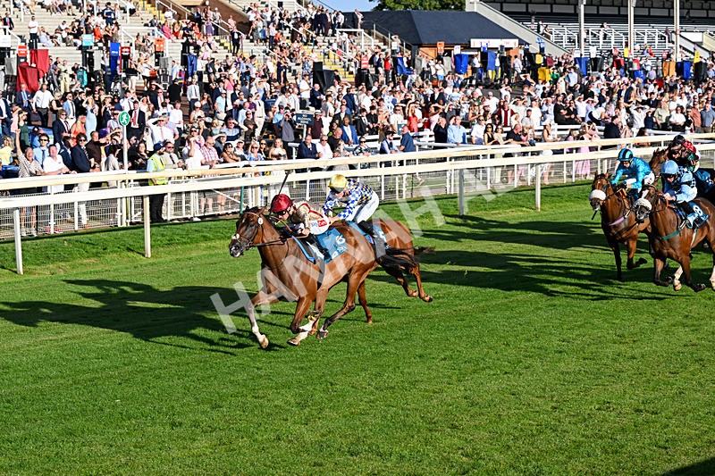 240726-Race 4-Rajaking-0427 - Race 4 19.15pm Tomahawk Handicap
