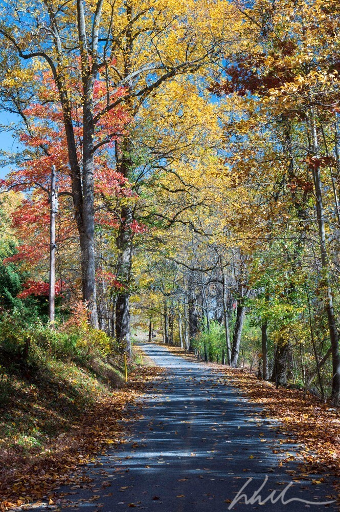 DSC_7917 - Autumn