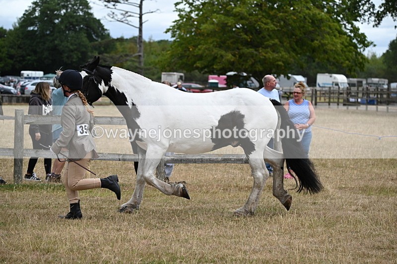 WJ6_8391 - Class 10 Coloured in Hand