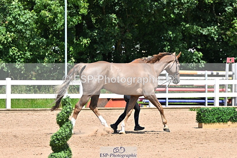 240718A-105311-01664 - Trot Up 1pm to 2pm