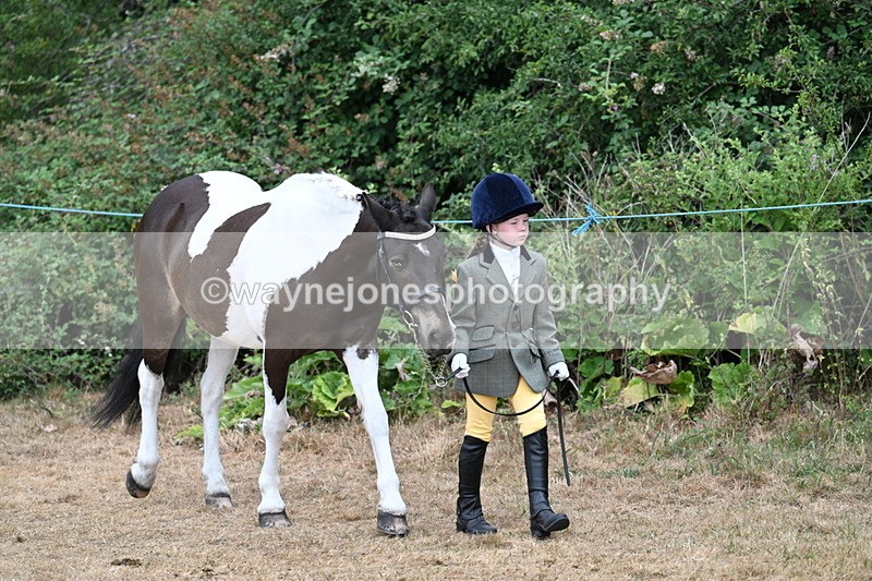WJ7_9440 - Class 5 Most Handsome Gelding (up to 14.2hh)