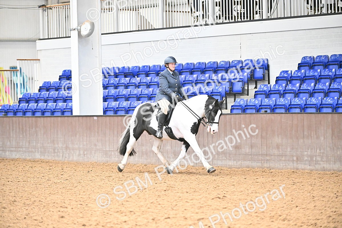 SBM_002625 - Class 28,29 - Ridden Irish & Coloured