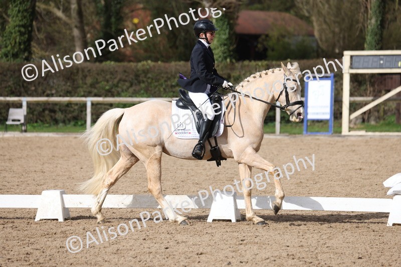 20260301-0644 - Class 4 - Novice 5