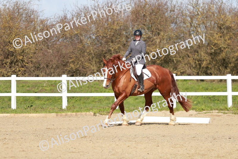 20260314-2836 - DR3 - Prelim 1