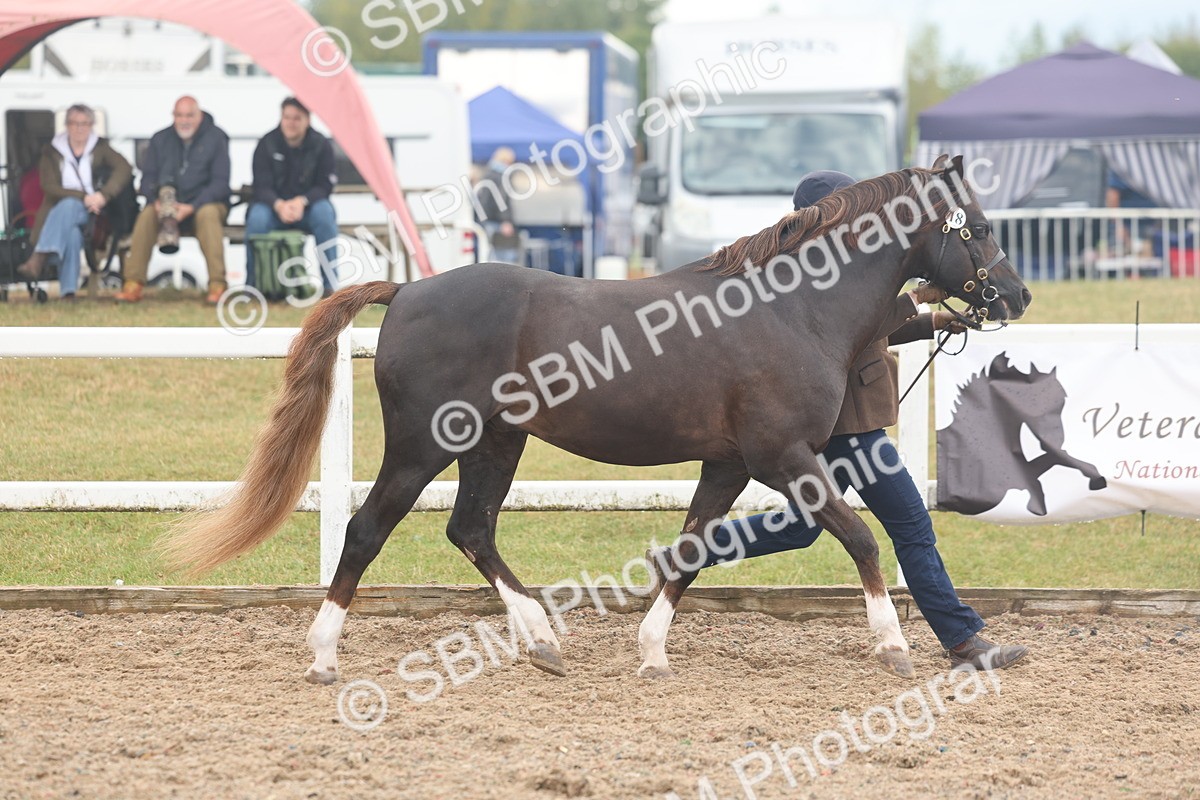 SBM_08413 - Class 29 - IH Veteran Pony