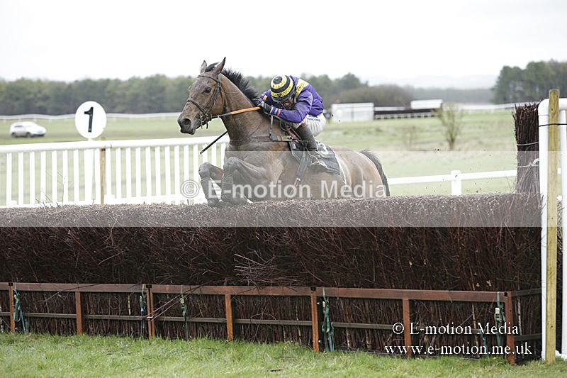 PtP 150320 0238 - New Forest Point-to-Point Larkhill 15/03/20