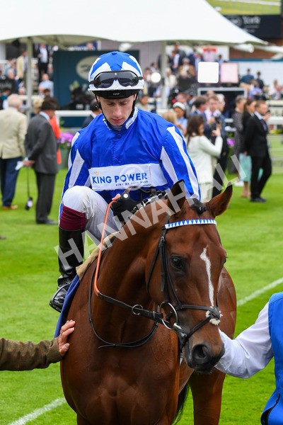 180523-Race 4-The Foxes-0460 - Race 4 3.35pm Al Basti Equiworld Dubai Dante Stakes