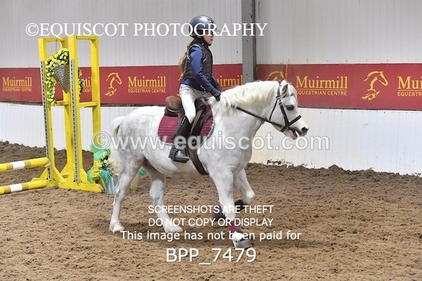 BPP_7479 - 40CM WORKING HUNTER