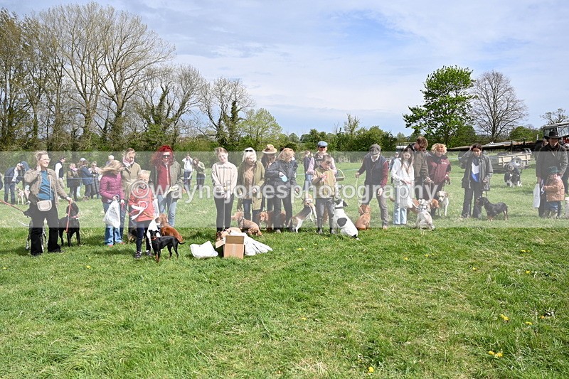 WJ6_8387 - Class 4 Prettiest Bitch