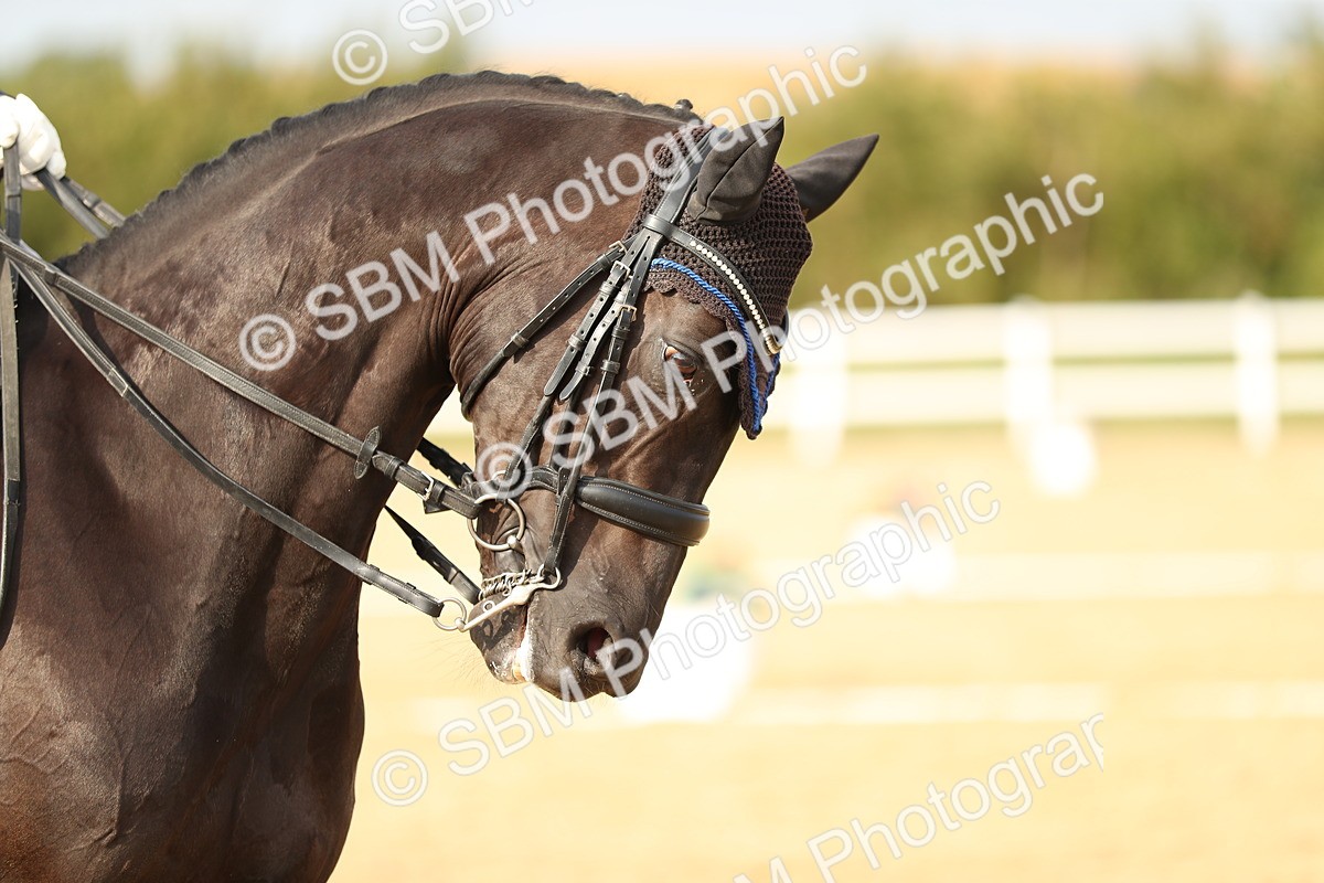 SBM_018570 - Class 12 - INT I 16.28-16.44