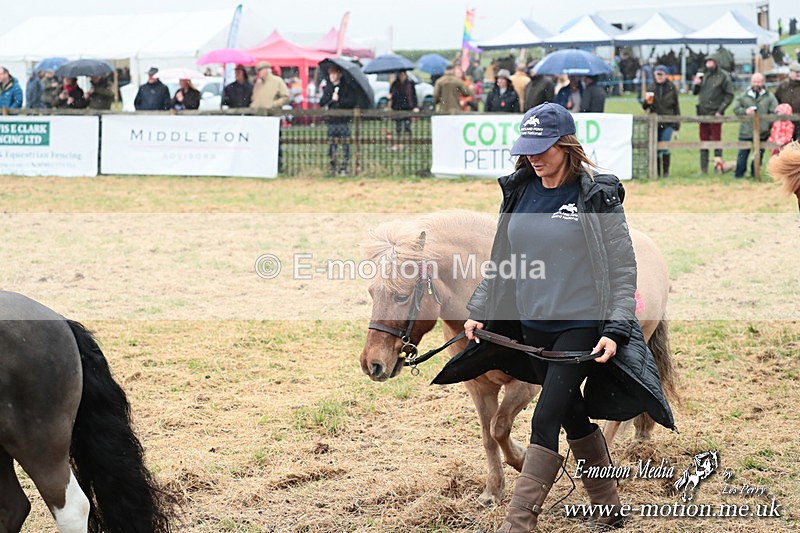 SHETPR 210425 13 - Shetland Ponies Paxford Races 21/04/25