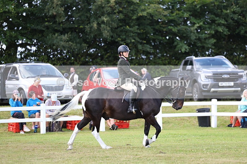 3E7A9625 - Class 5: Rising Star Lightweight/Heavyweight Cobs