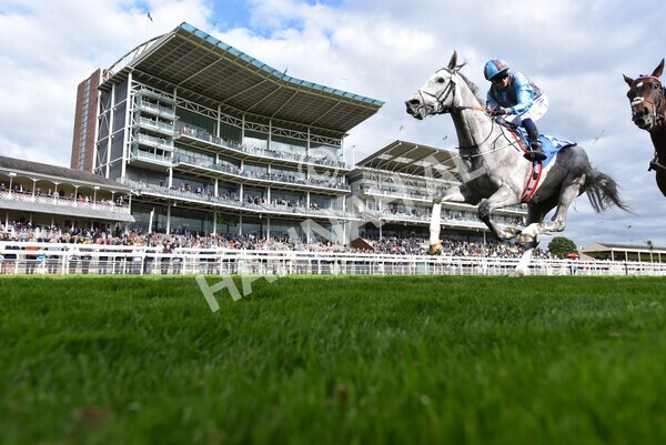 yr12052022r7-18 - Race 7 5.15pm Fidomoney Stakes