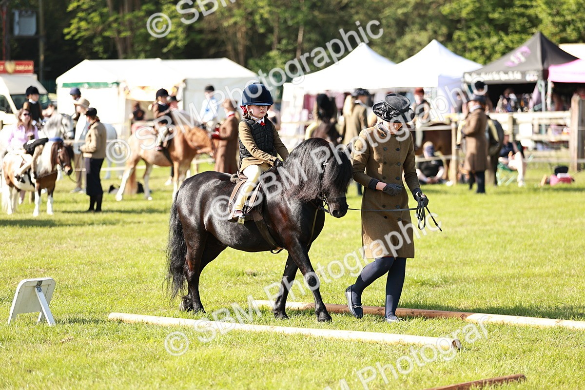 SBM_11269 - Class 106-107 - BSPS LIHS Working Sports Pony