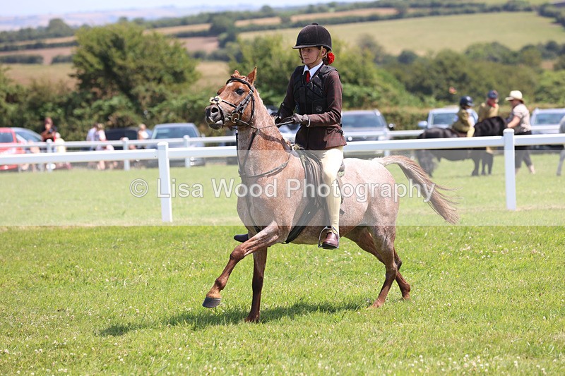 JPP_2962 - Class 22: Working Hunter 70cm