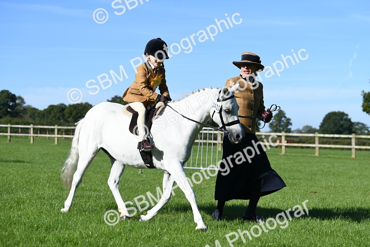 SBM_35513 - S17 - Condition & Turnout - Lead Rein
