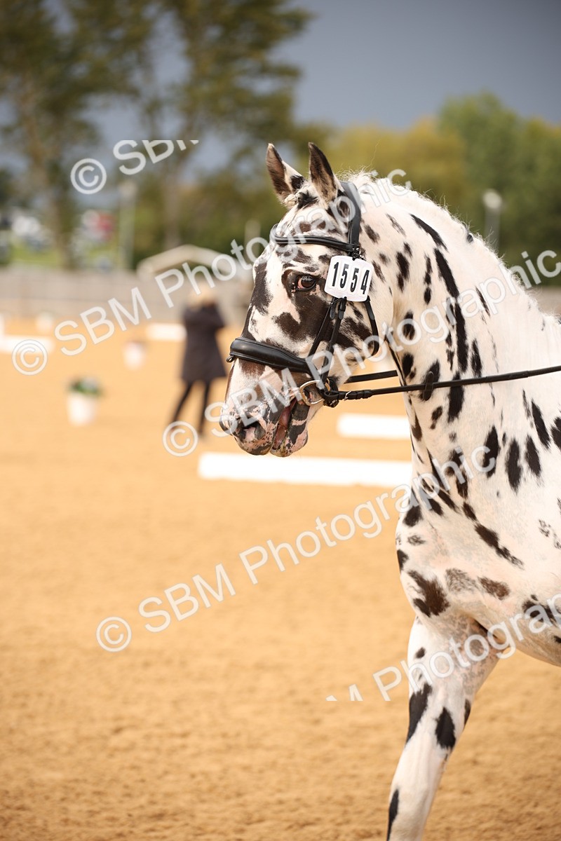 SBM_12299 - D3 Small  Tour Championship Intro A