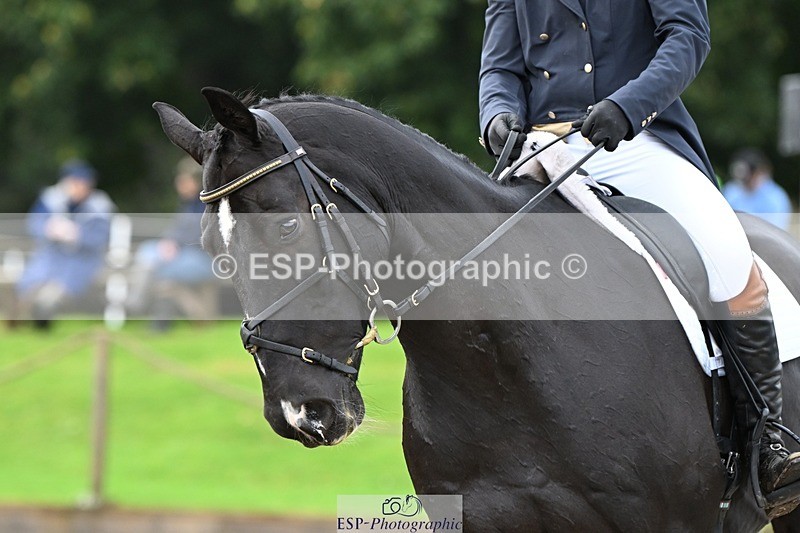 231019-111327-01755 - 037-MISTER.KAI-Hani.Milstein-DR