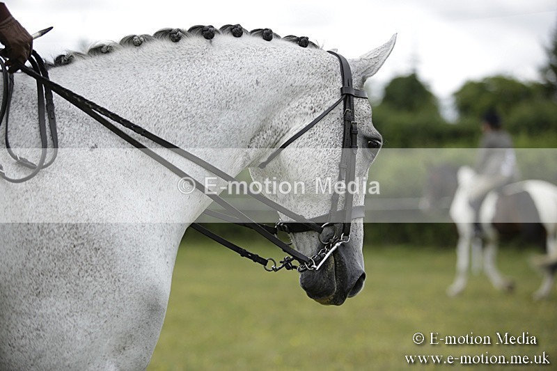 BVR160717-2115 - Ridden Championship 16/07/17