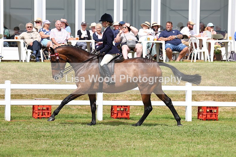 3E7A0588 - Rising Star Ridden Championship