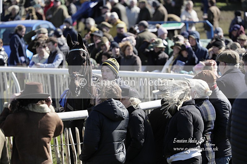 PtP 100423 566 - Old Berkshire Point-to-Point Lockinge 10/04/23