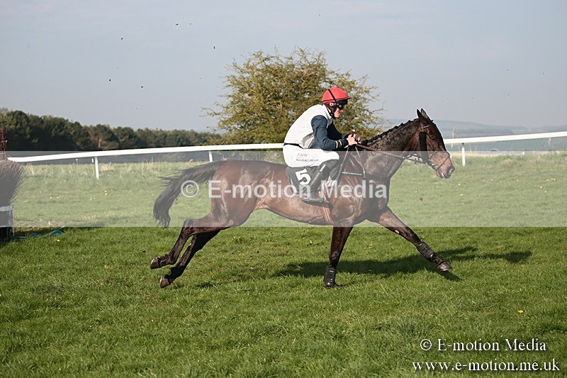PtP 210418 620 - South & West Wilts Point-to-Point Larkhill 21/04/18