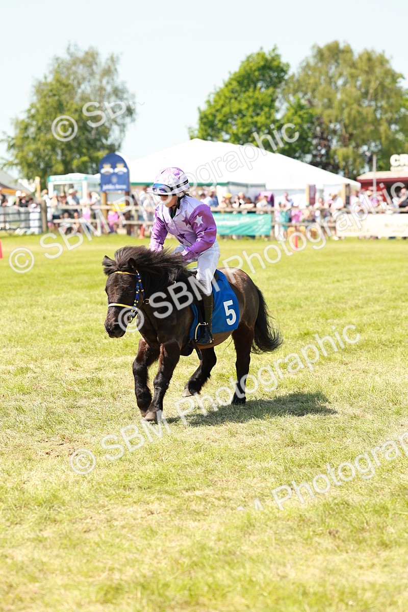 SBM_16750 - Shetland Grand National