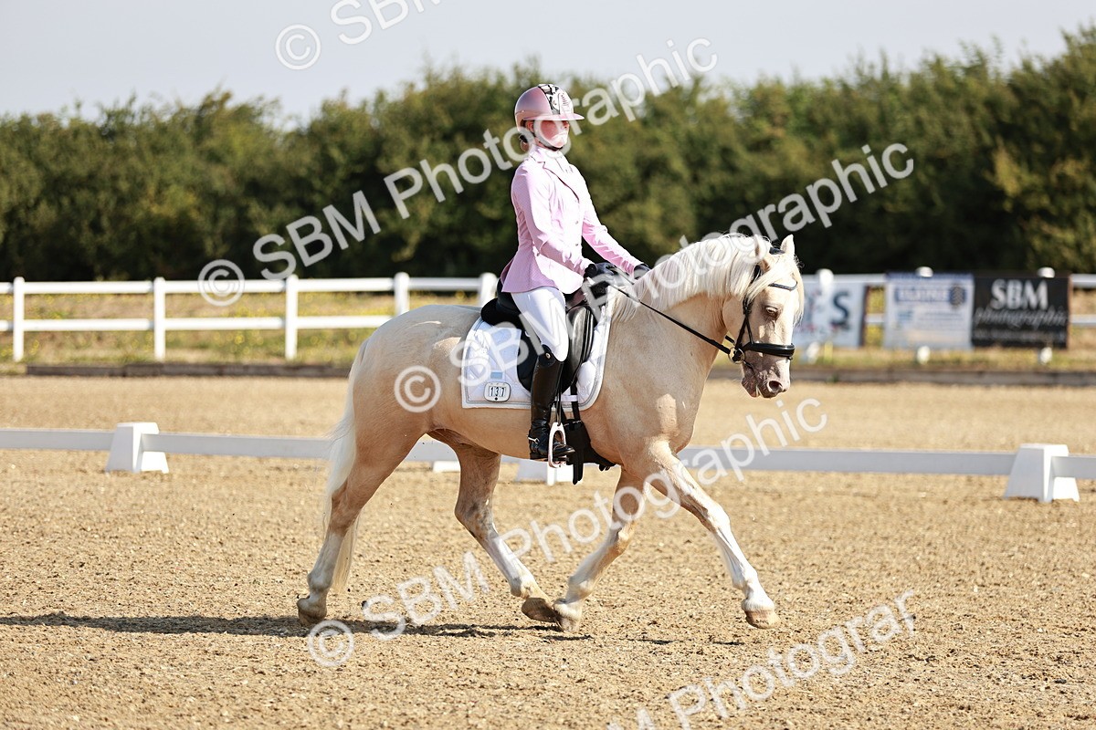 SBM_002316