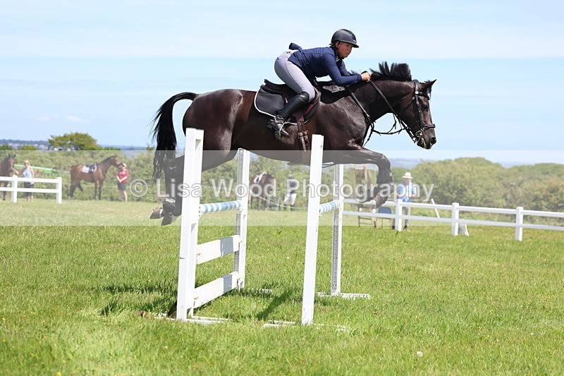 3E7A1205 - Class 12: Senior Foxhunter/1.20 open