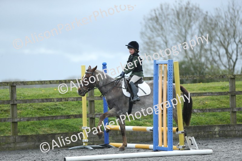 20260412-1849 - Show Jumping